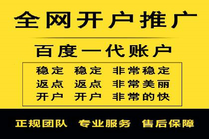 竞价SEM策略在金融行业的成功实践